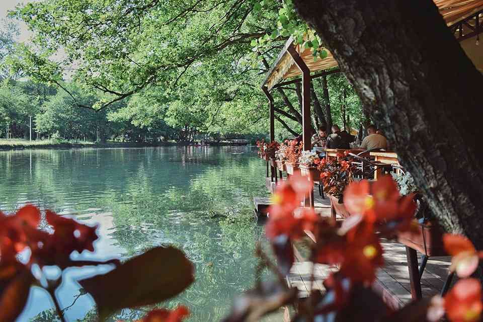 Thai ETA for Albanian Citizens featured image